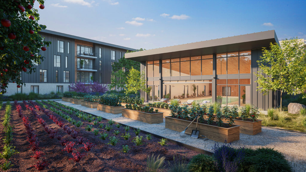 Enso Village Courtyard