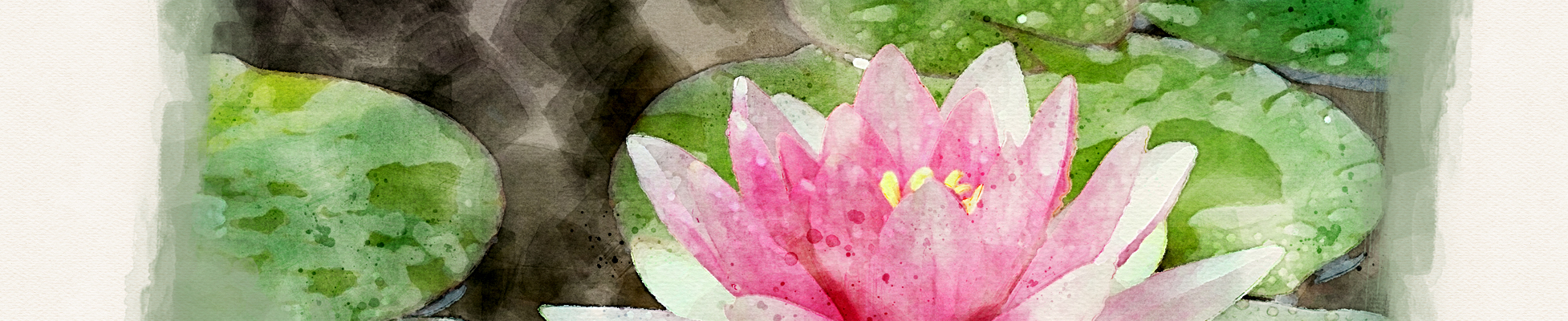 Lotus flower