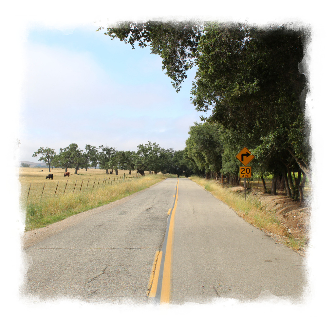 Remote Wine Country Road