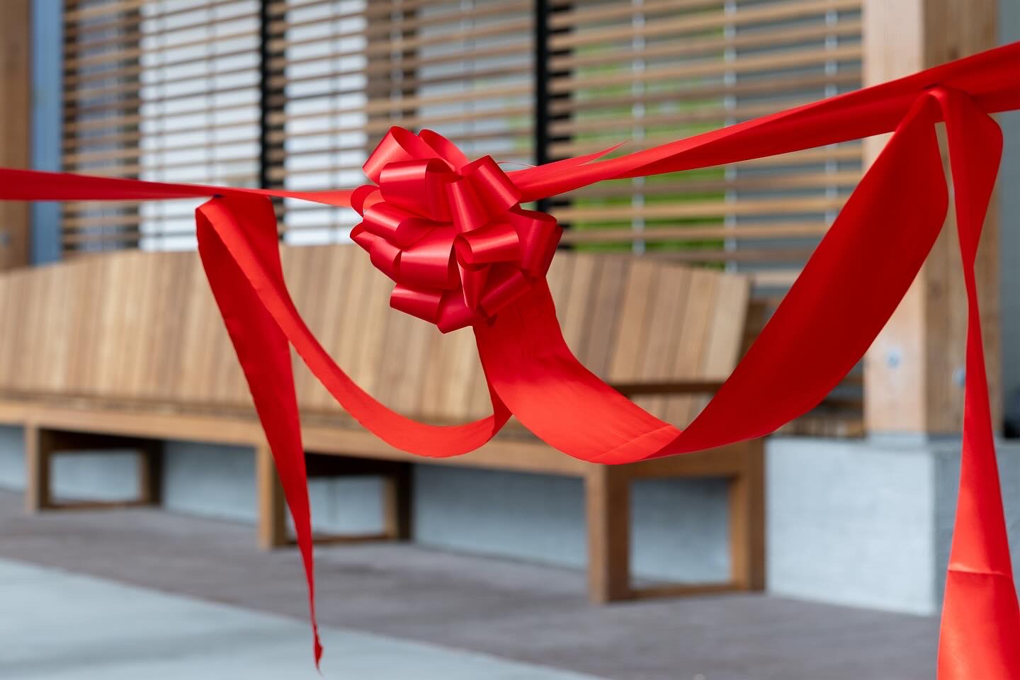 Tied Ribbon