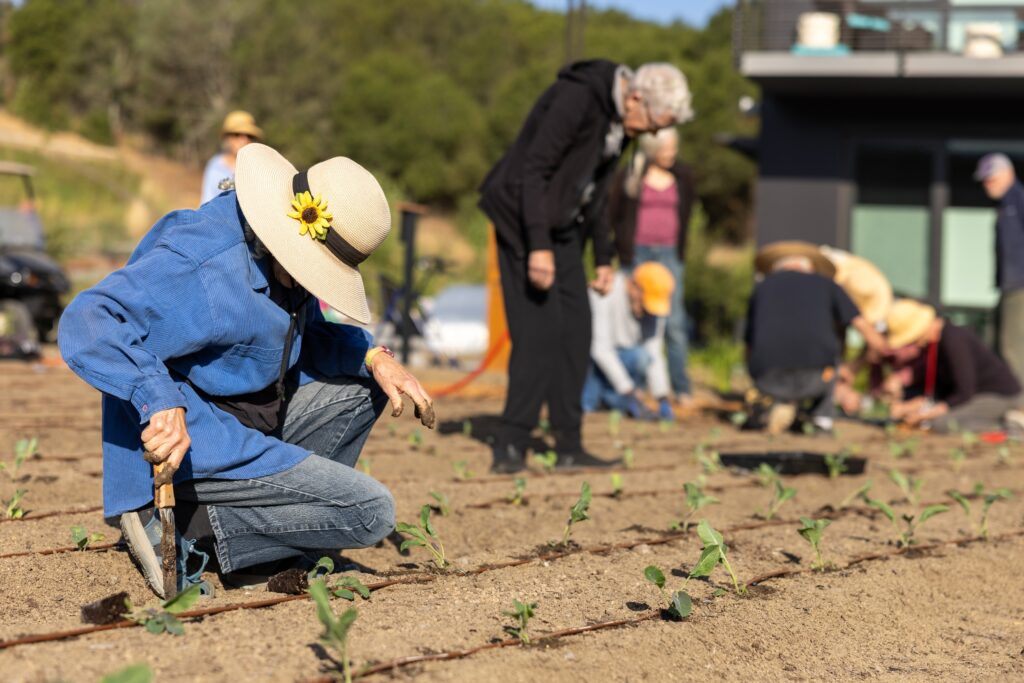 Resident uses trowel to prep planting of a starter plant