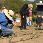 Resident uses trowel to prep planting of a starter plant