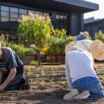 Four residents planting in the kitchen garden