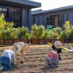 Five residents planting in the kitchen garden together