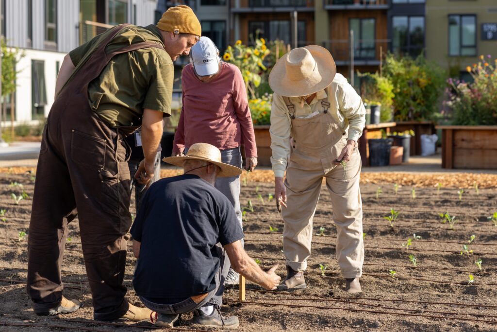 Kitchen Garden Manager, Aris Curtis, works with residents on planting positions