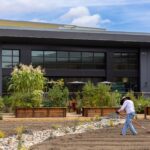 Resident rakes the kitchen garden raised beds